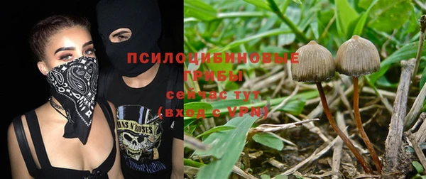 кокс Алексин