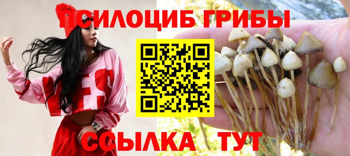 Курган  Псилоцибиновые грибы ЛСД  Вход с VPN  Галлюциногенные грибы мицелий 
