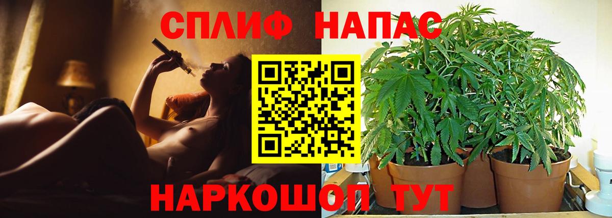 Бошки Шишки Amnesia Курган